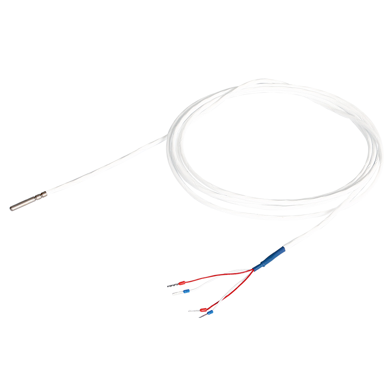 Double Rolling Platinum Resistors (Standard Type)
